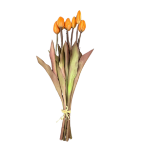 Tulpen boeket oranje