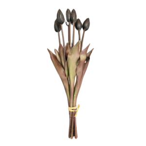 Tulpen boeket zwart